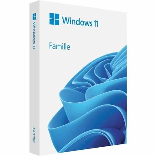 MS Windows 11 HOME FPP 64-bit USB (FR) - HAJ-00110
